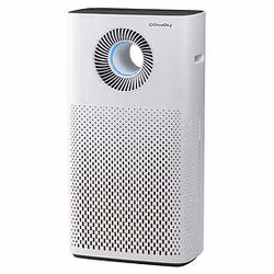 Coway Storm AP-1516D